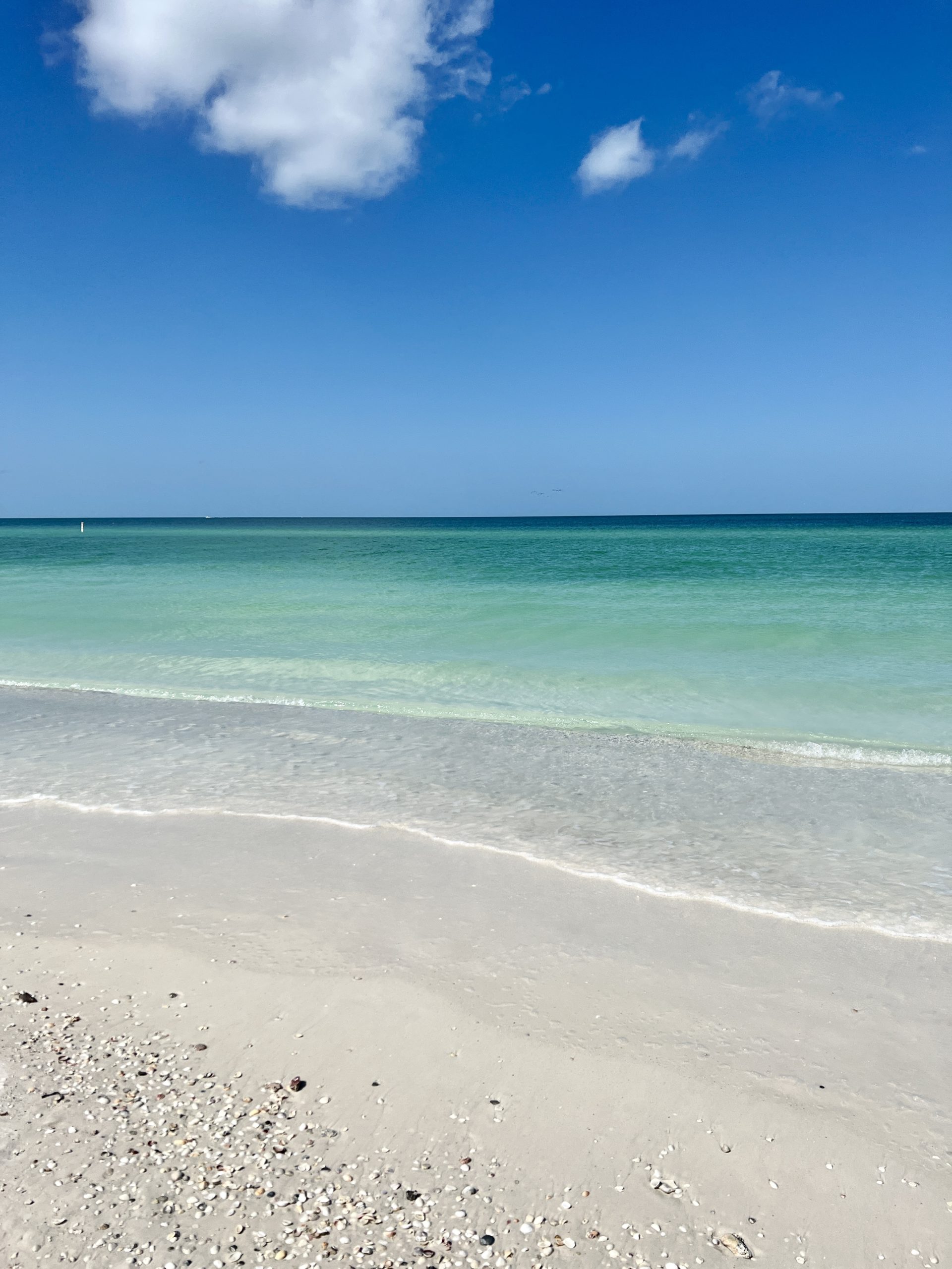 Back on the Beach – Traveling NP