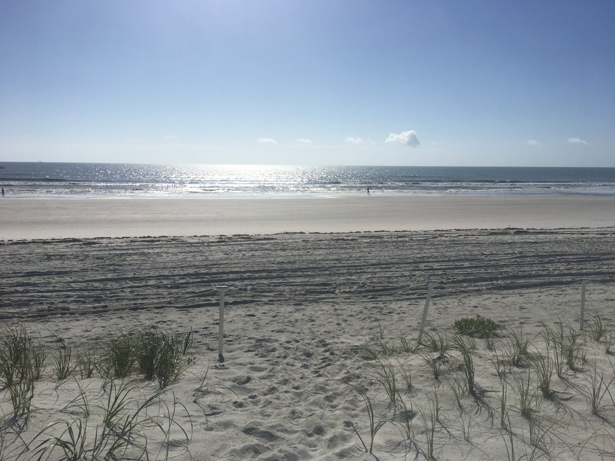 Top 5 things to do in Jacksonville, FL Traveling NP